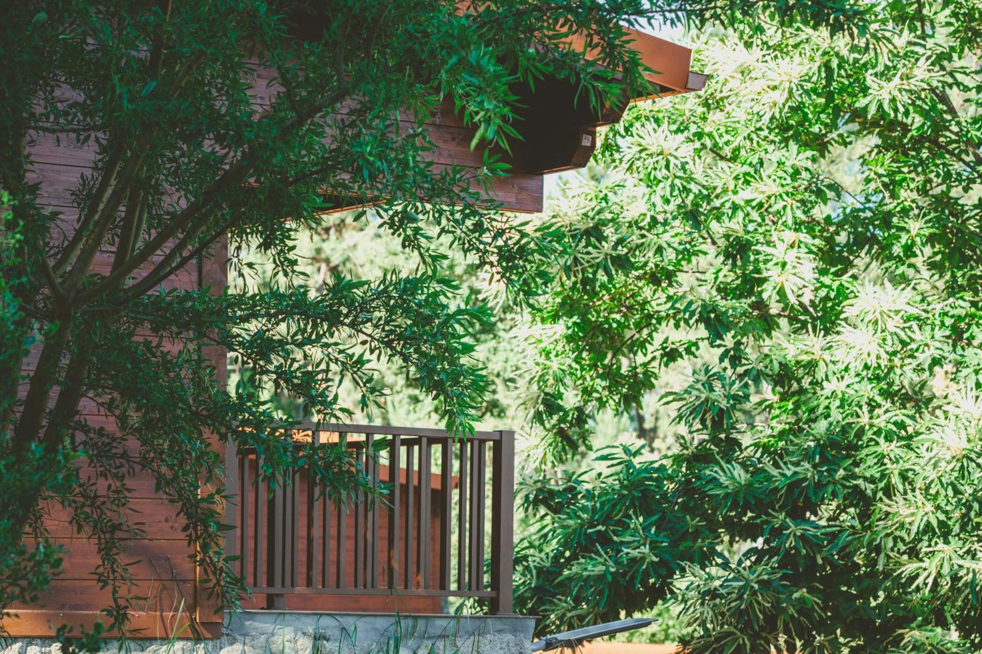 Quinta Do Lameiro Tarouca Eksteriør billede